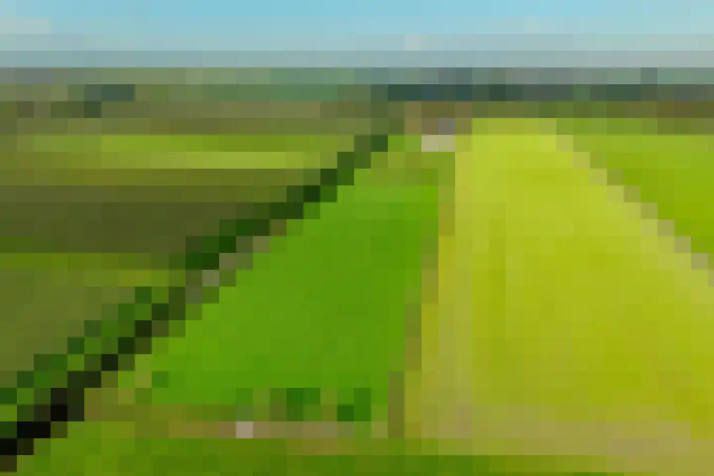 Elba 1 Hem thumbnail 4