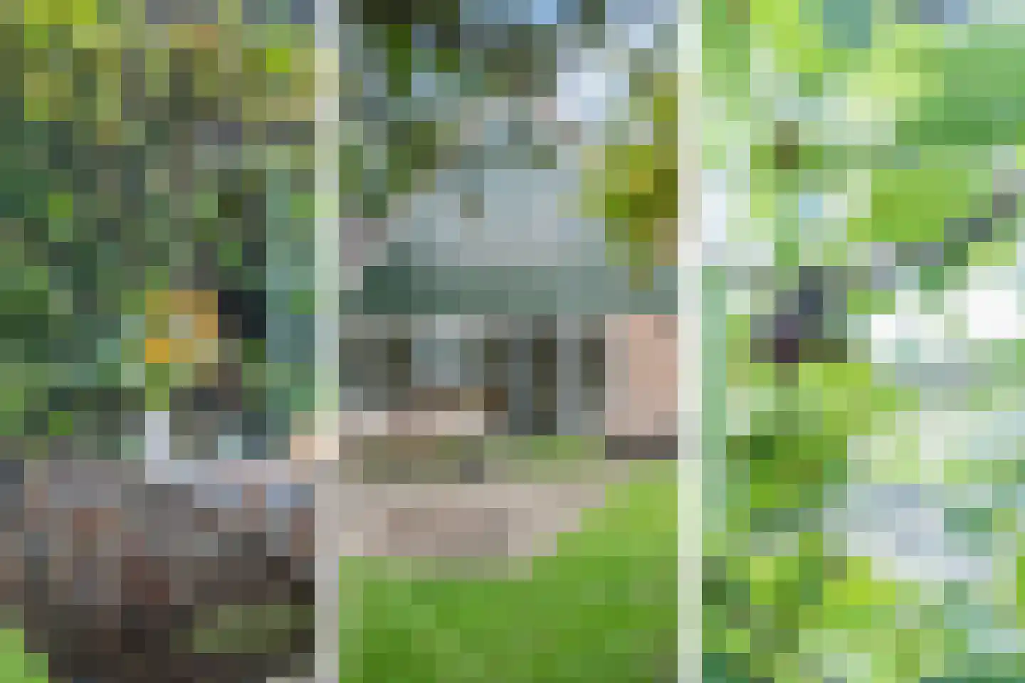 Elba 1 Hem thumbnail 45