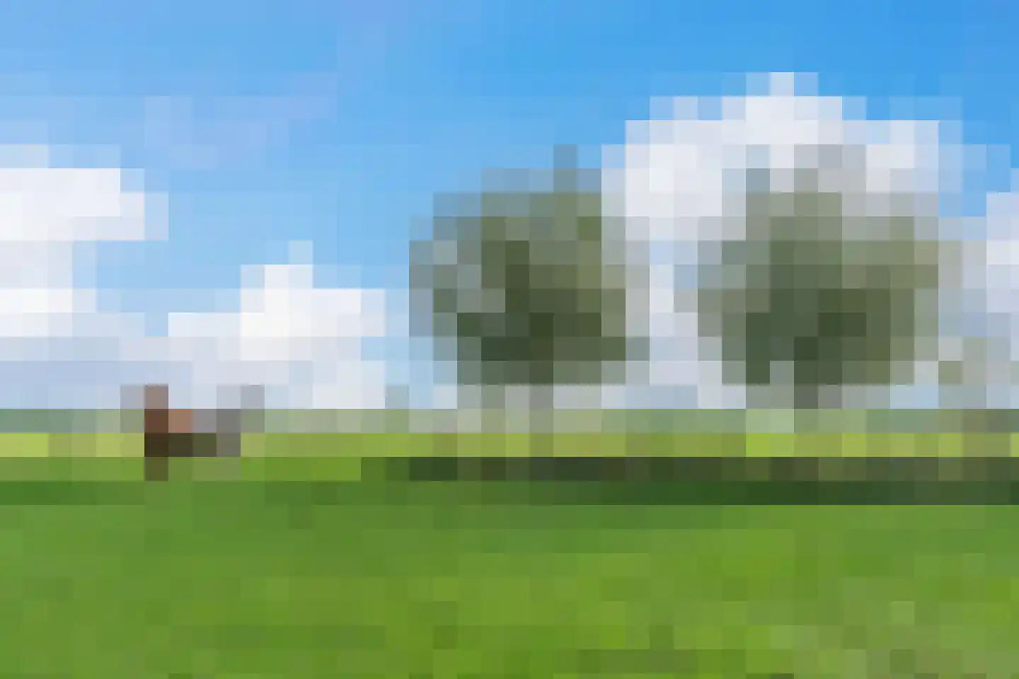 Elba 1 Hem thumbnail 49