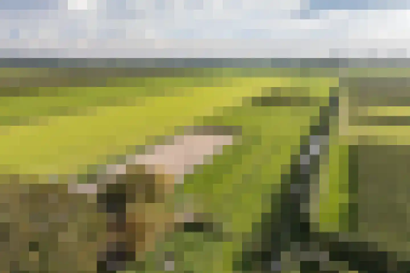 Elba 1 Hem thumbnail 51