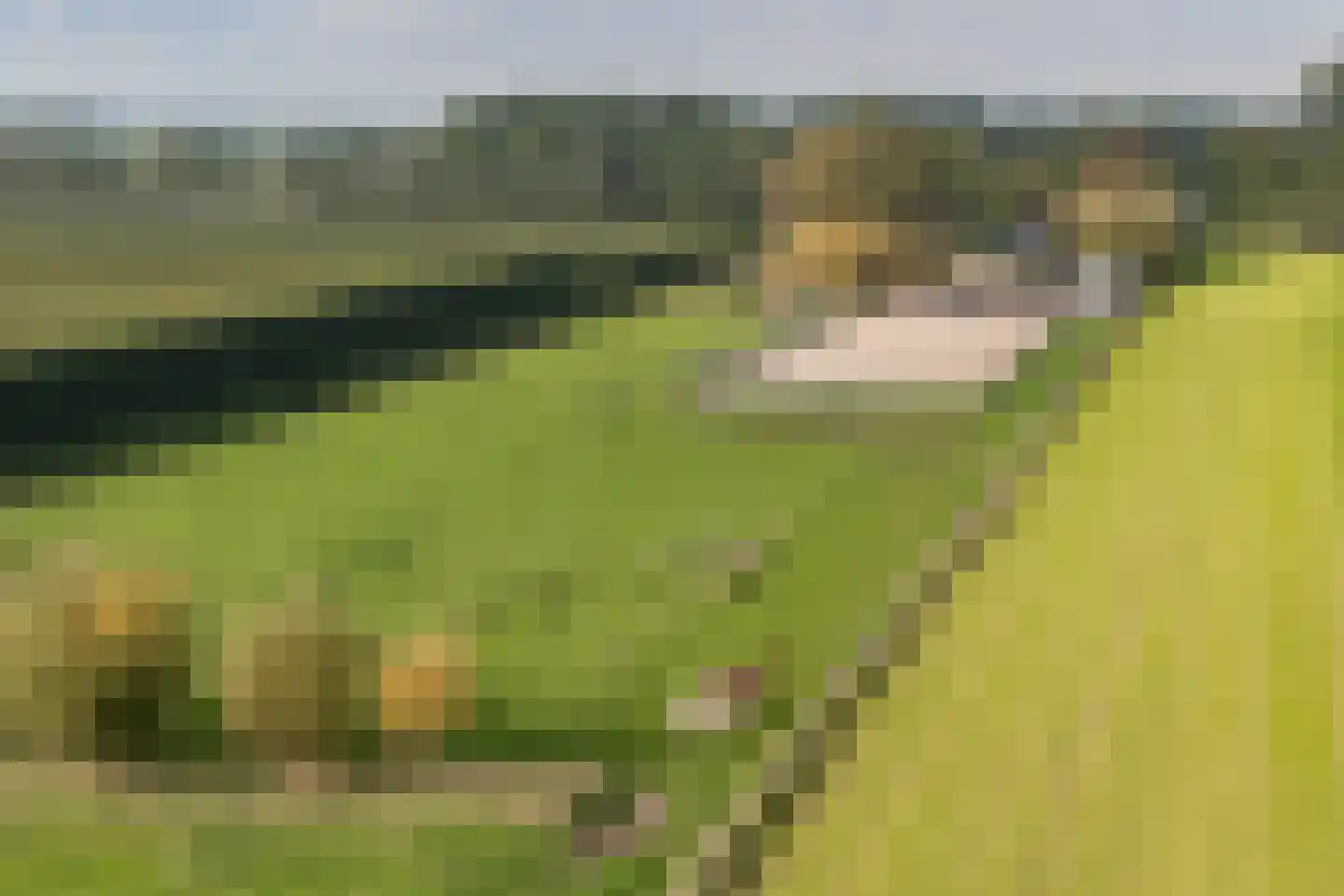 Elba 1 Hem thumbnail 52
