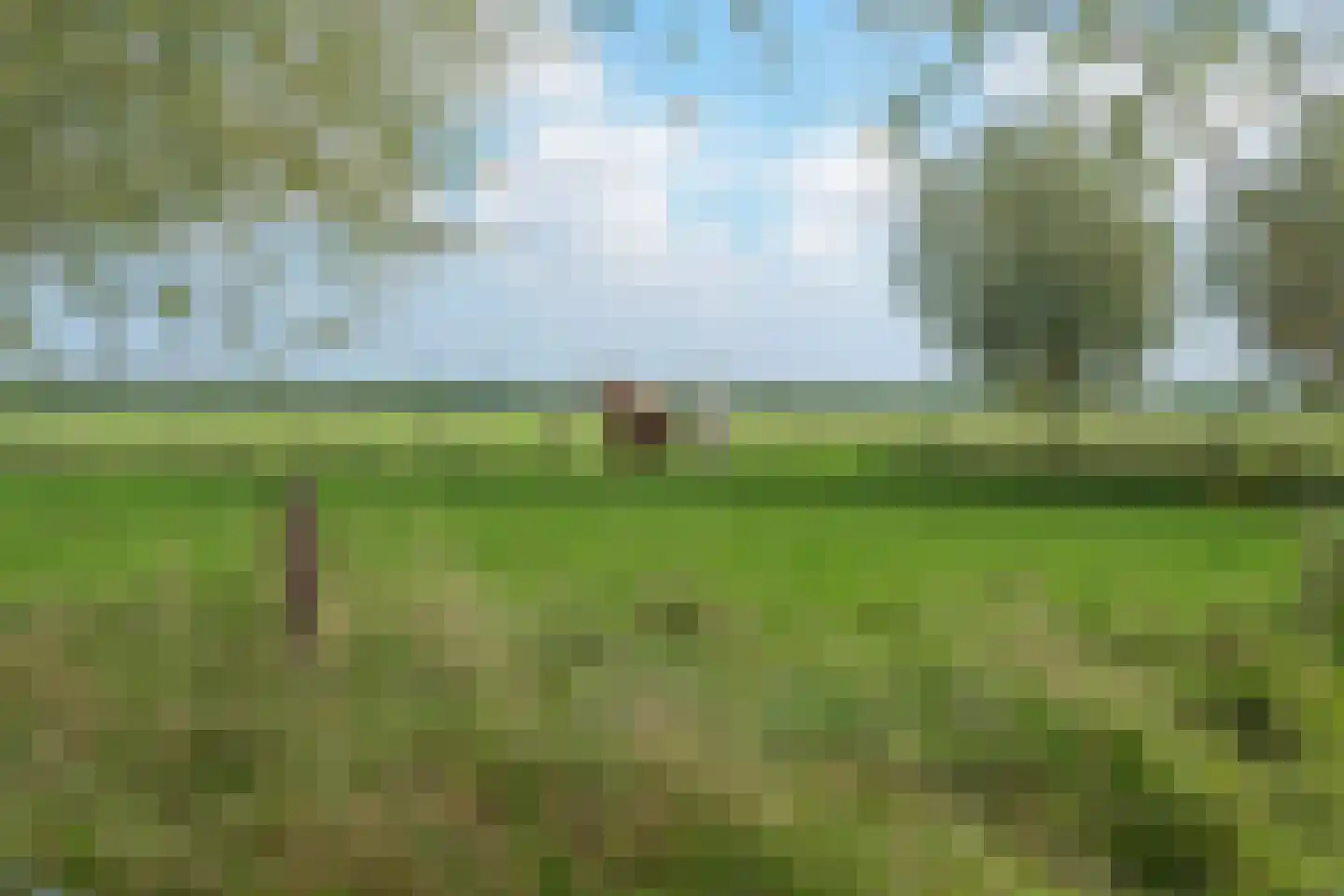 Elba 1 Hem thumbnail 55