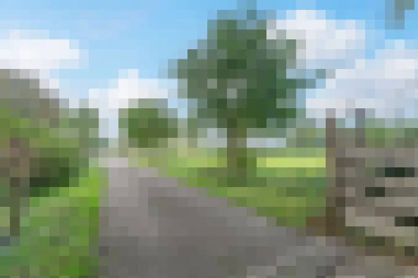 Elba 1 Hem thumbnail 57