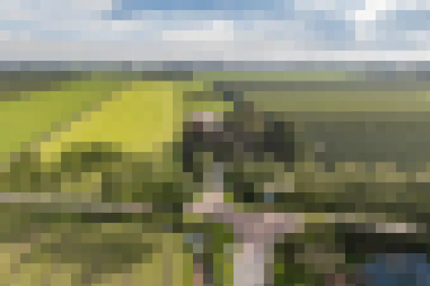 Elba 1 Hem thumbnail 6