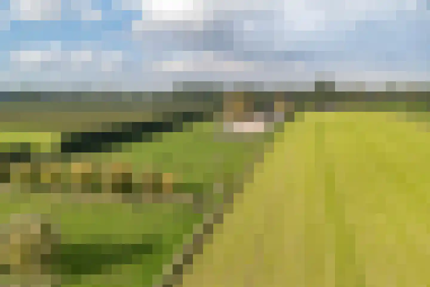 Elba 1 Hem thumbnail 7