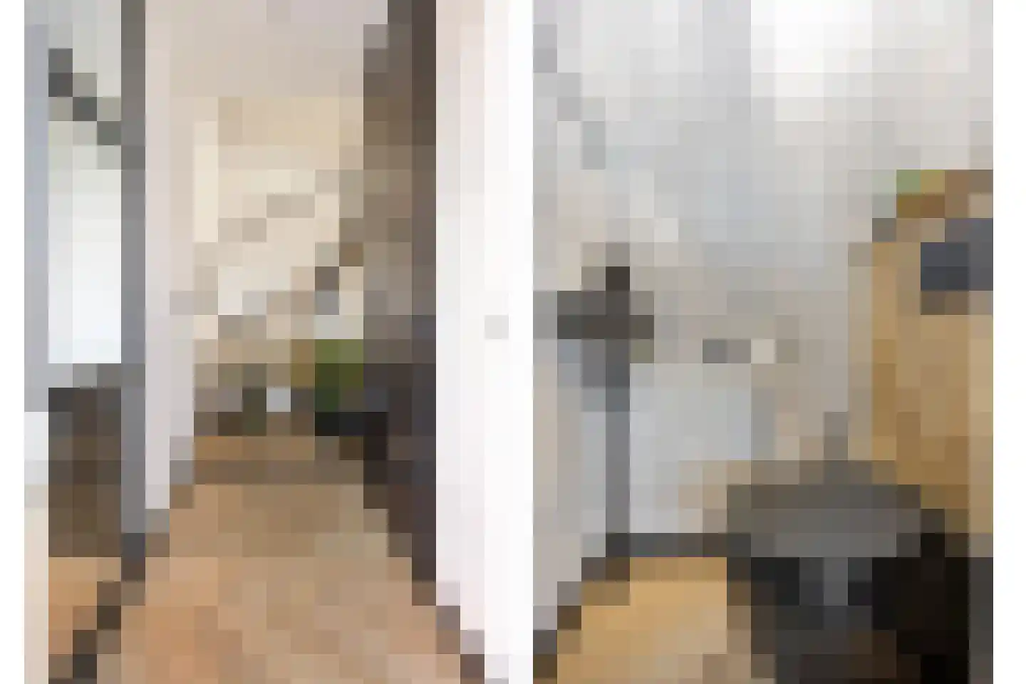Elba 2 Zoetermeer thumbnail 11