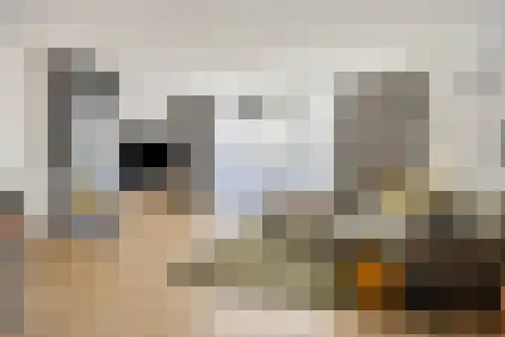 Elba 2 Zoetermeer foto 3