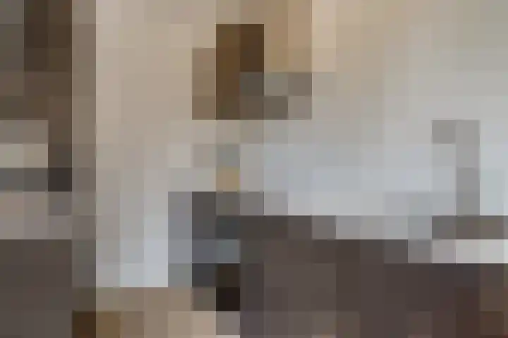 Elba 2 Zoetermeer thumbnail 31