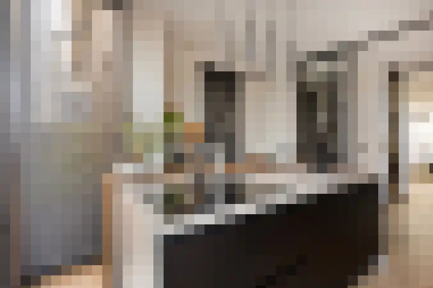 Elba 2 Zoetermeer thumbnail 6