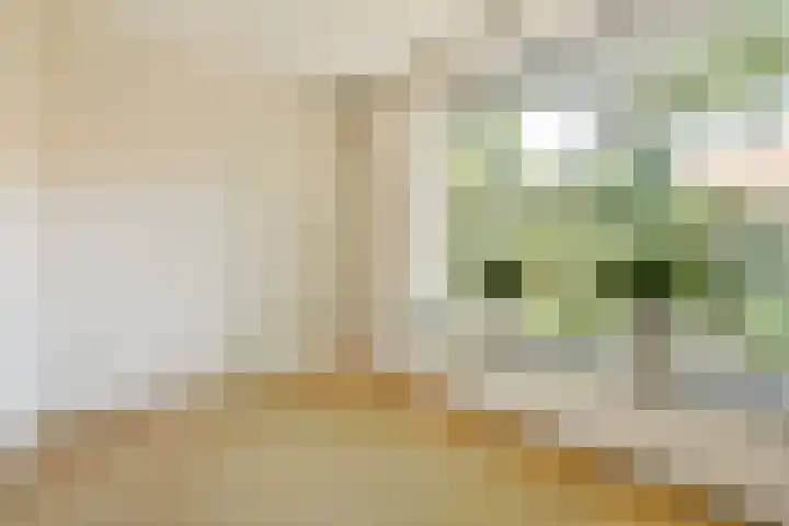 Elbalaan 22 Sassenheim thumbnail 12