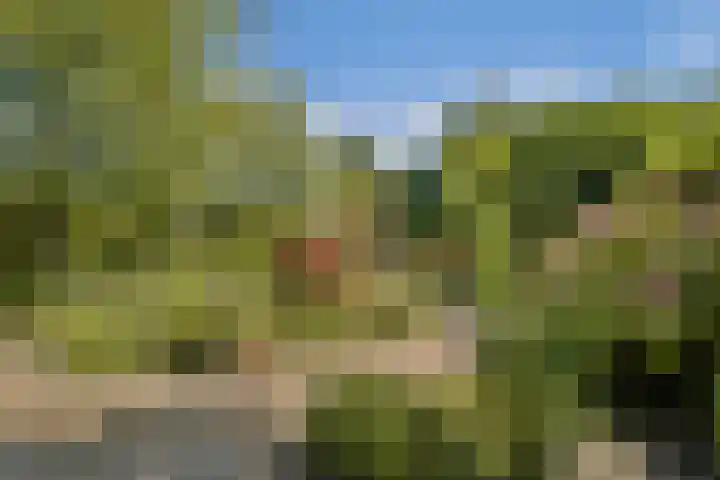Elbalaan 22 Sassenheim thumbnail 13
