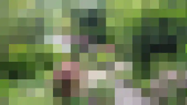 Elbalaan 22 Sassenheim thumbnail 14