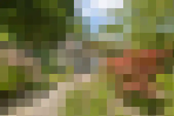 Elbalaan 22 Sassenheim thumbnail 15