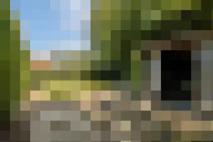 Elbalaan 22 Sassenheim thumbnail 17