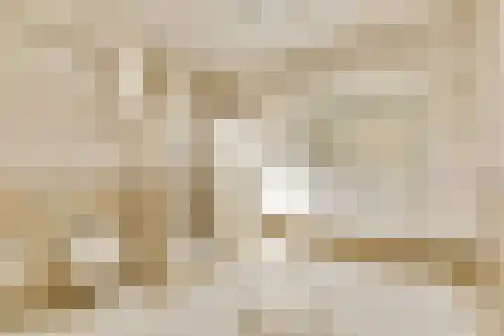 Elbalaan 22 Sassenheim thumbnail 23
