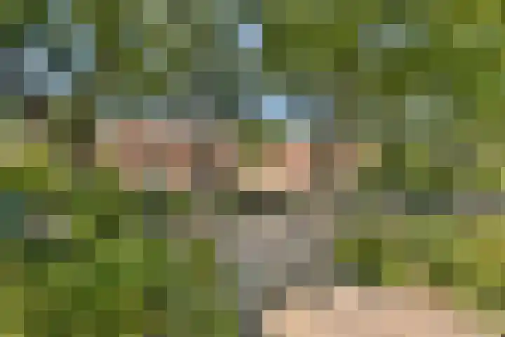Elbalaan 22 Sassenheim thumbnail 31