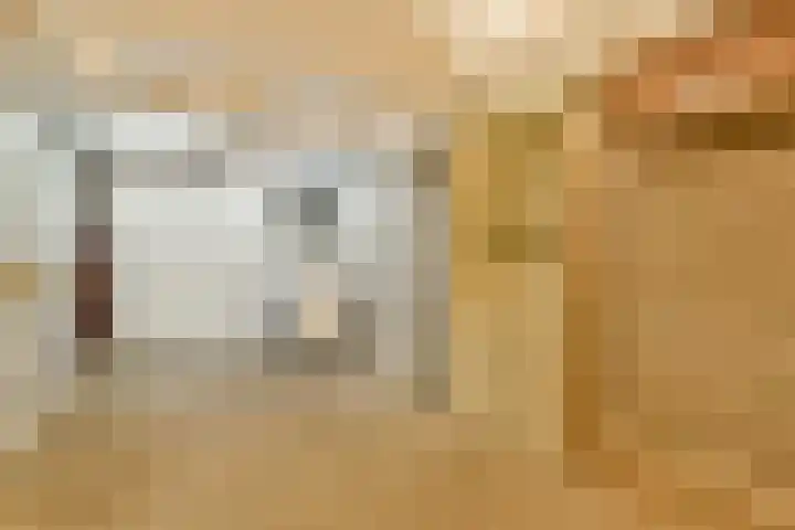 Elbalaan 22 Sassenheim thumbnail 35
