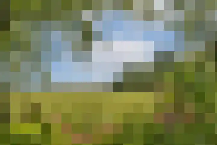 Elbalaan 22 Sassenheim thumbnail 36