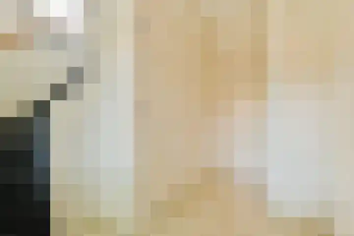 Elbalaan 22 Sassenheim thumbnail 5