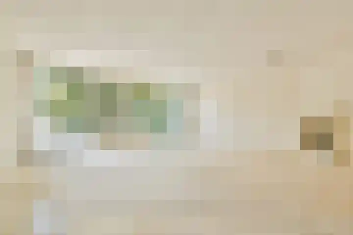 Elbalaan 22 Sassenheim thumbnail 7