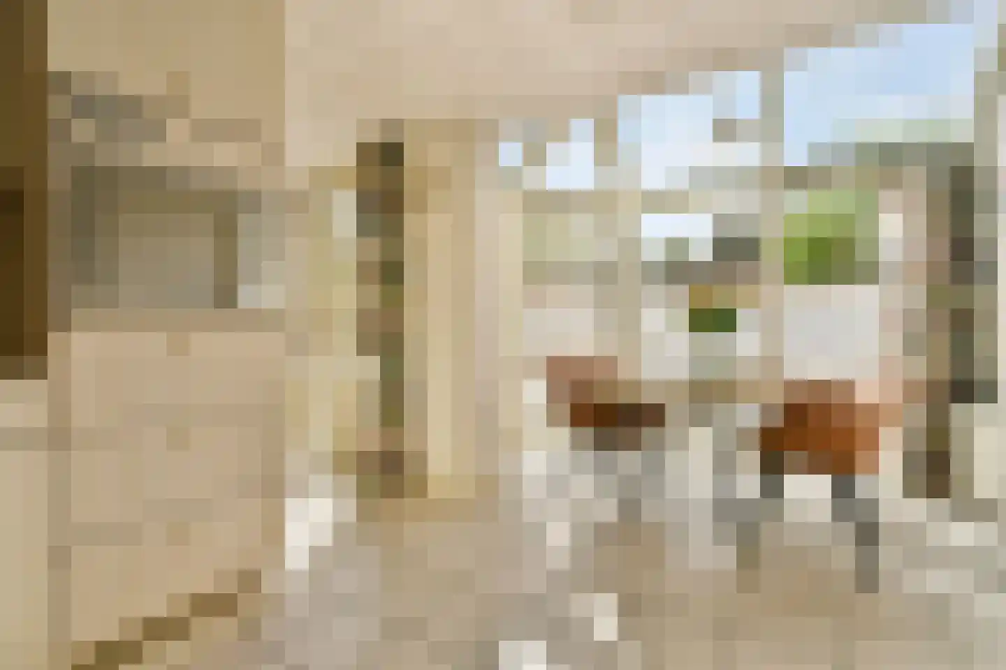 Elbalaan 9 Sassenheim thumbnail 12