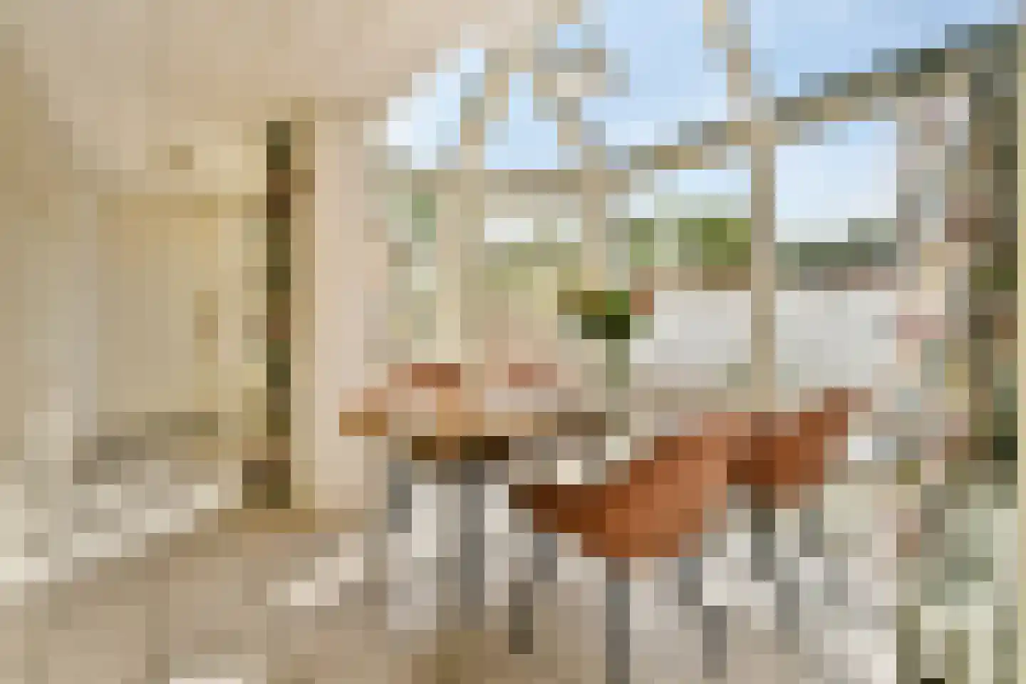 Elbalaan 9 Sassenheim thumbnail 16