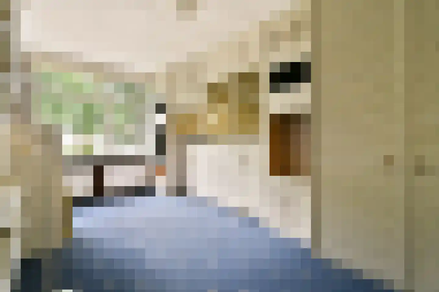 Elbalaan 9 Sassenheim thumbnail 38