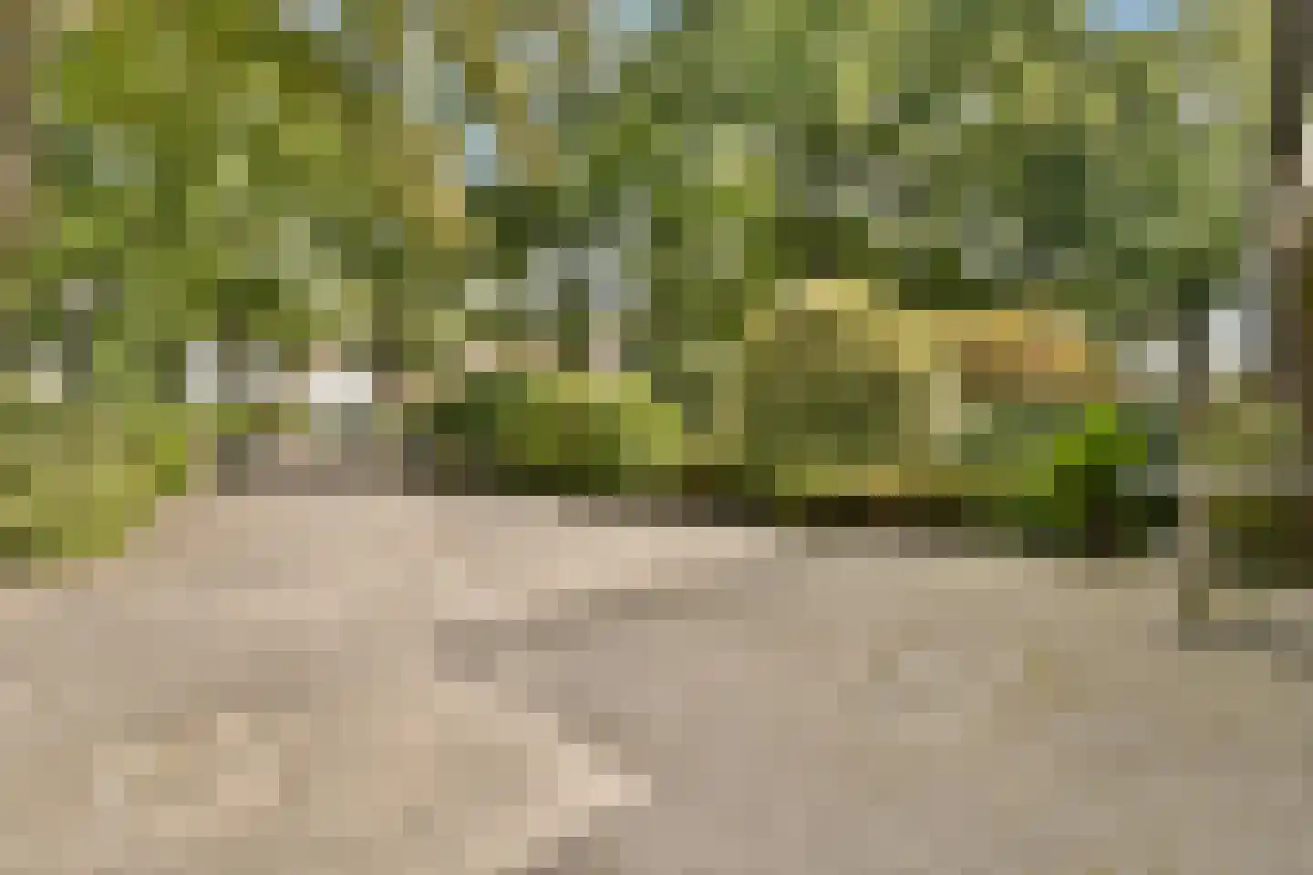 Elbalaan 9 Sassenheim thumbnail 4