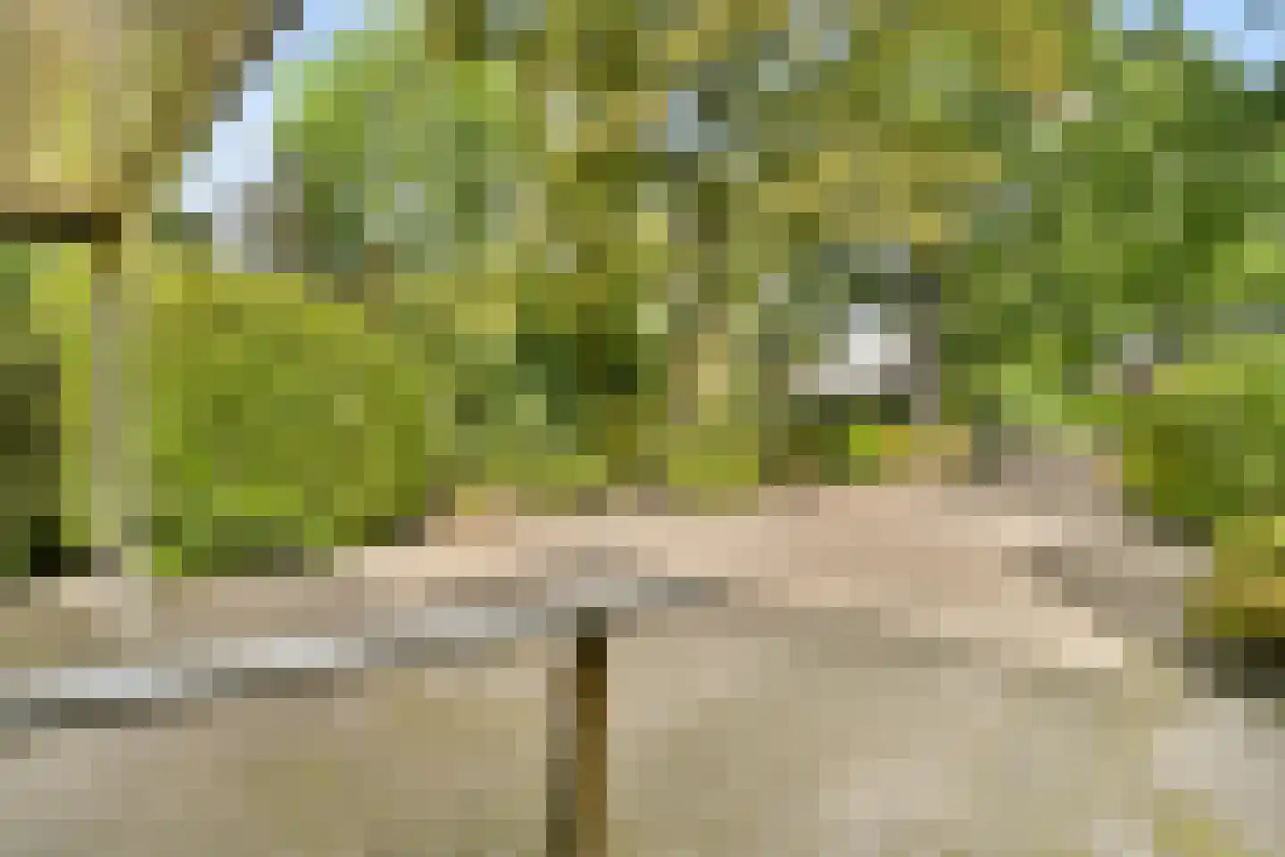 Elbalaan 9 Sassenheim thumbnail 47