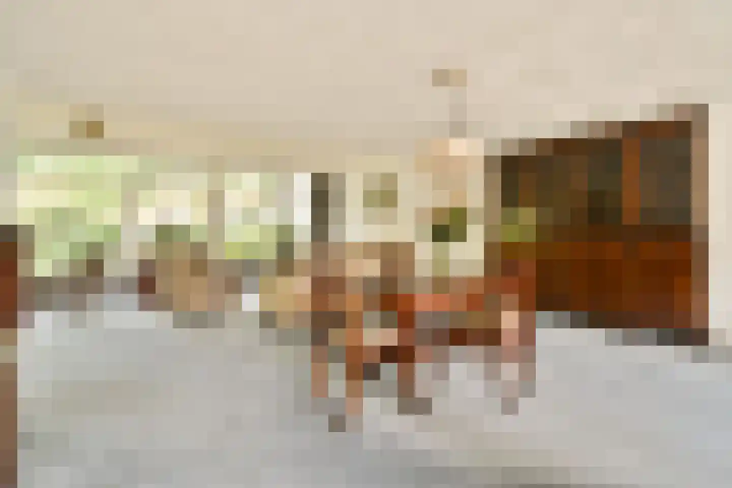 Elbalaan 9 Sassenheim thumbnail 5