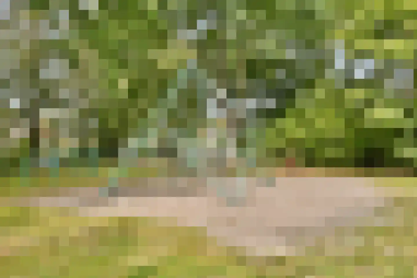 Elbalaan 9 Sassenheim thumbnail 51