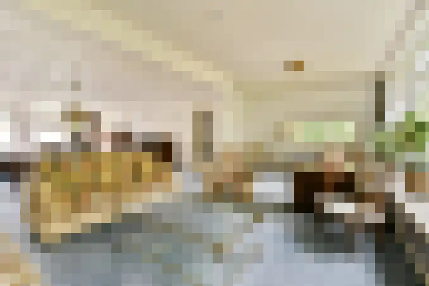 Elbalaan 9 Sassenheim thumbnail 7