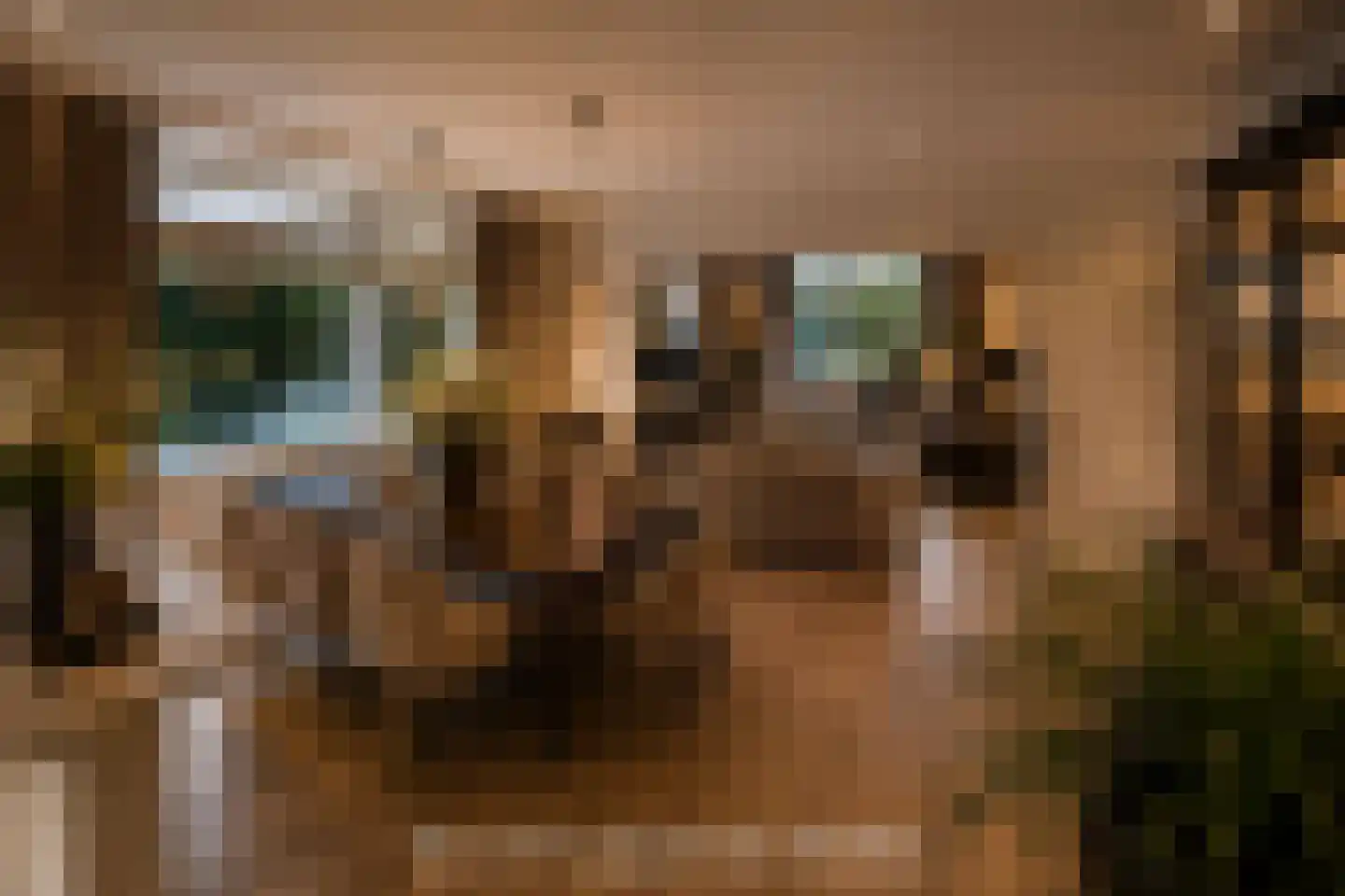 Elbaweg 55 Hem thumbnail 33