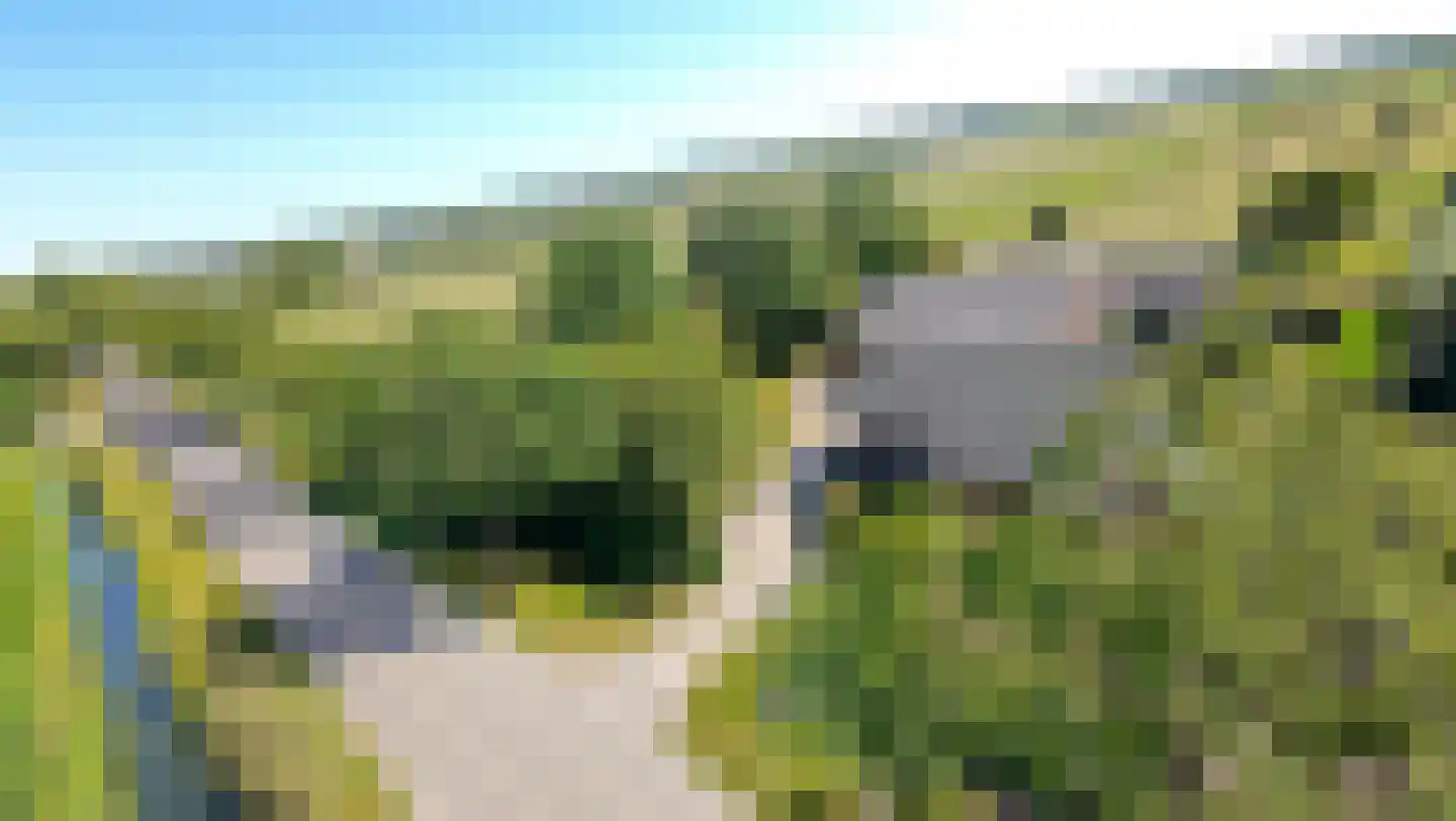 Elbaweg 55 Hem thumbnail 6