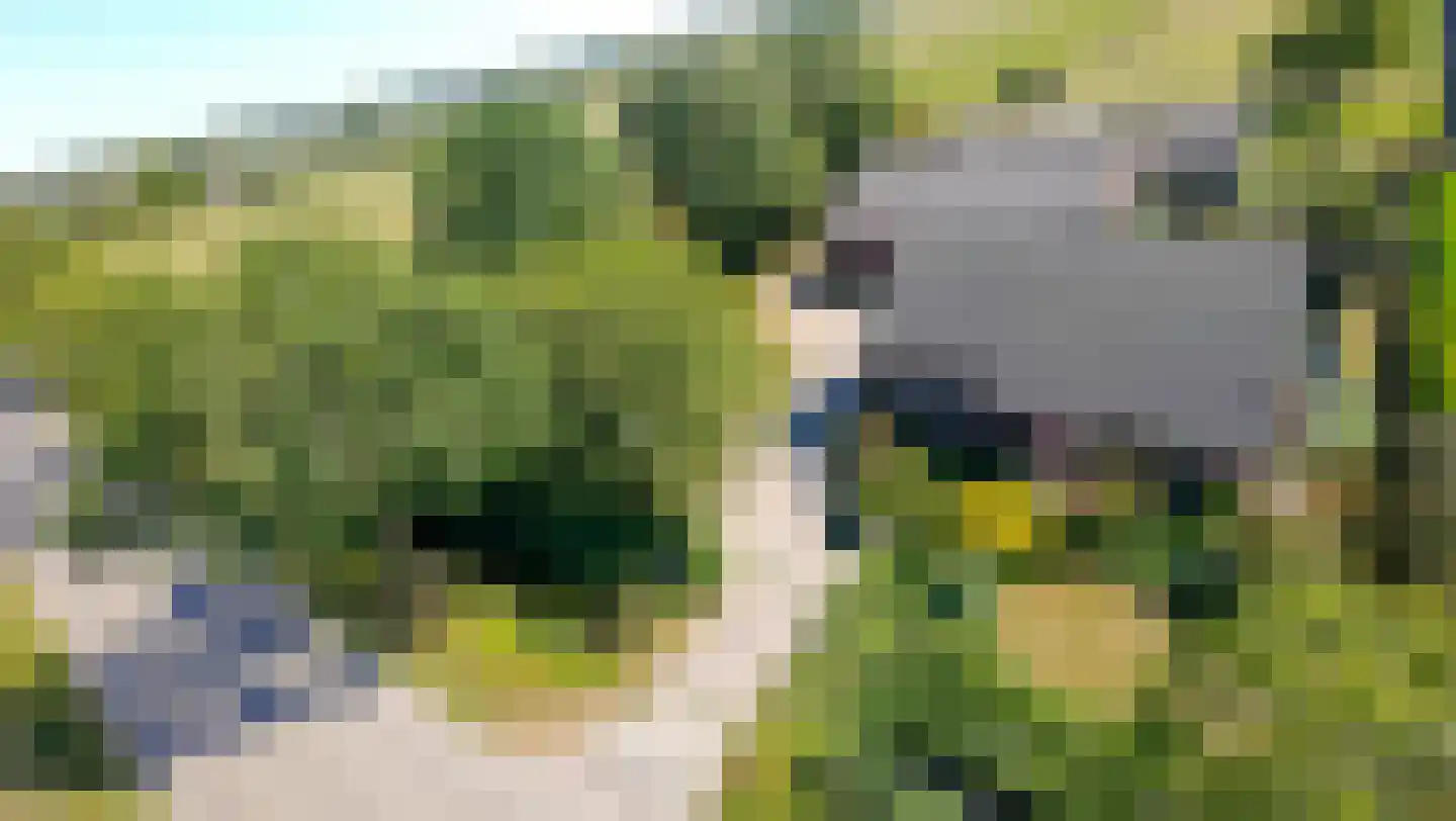 Elbaweg 55 Hem thumbnail 7