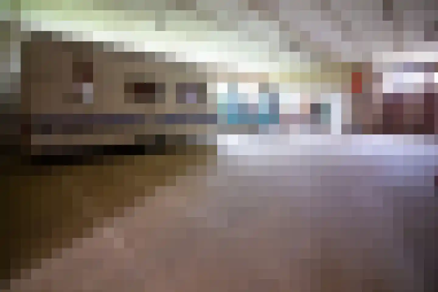 Elbaweg 55 Hem thumbnail 81