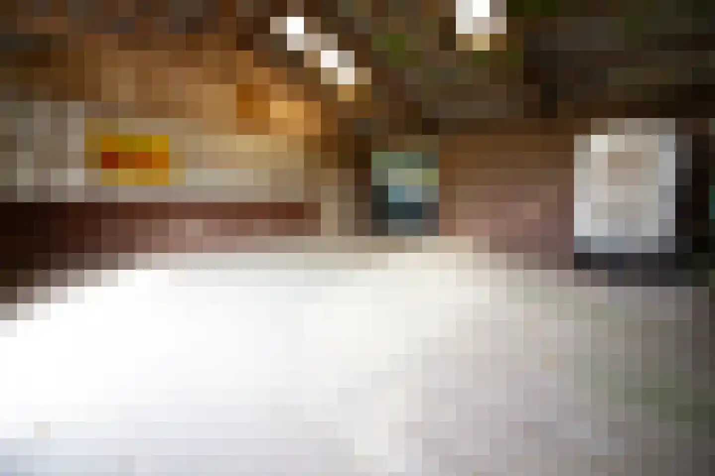 Elbaweg 55 Hem thumbnail 83