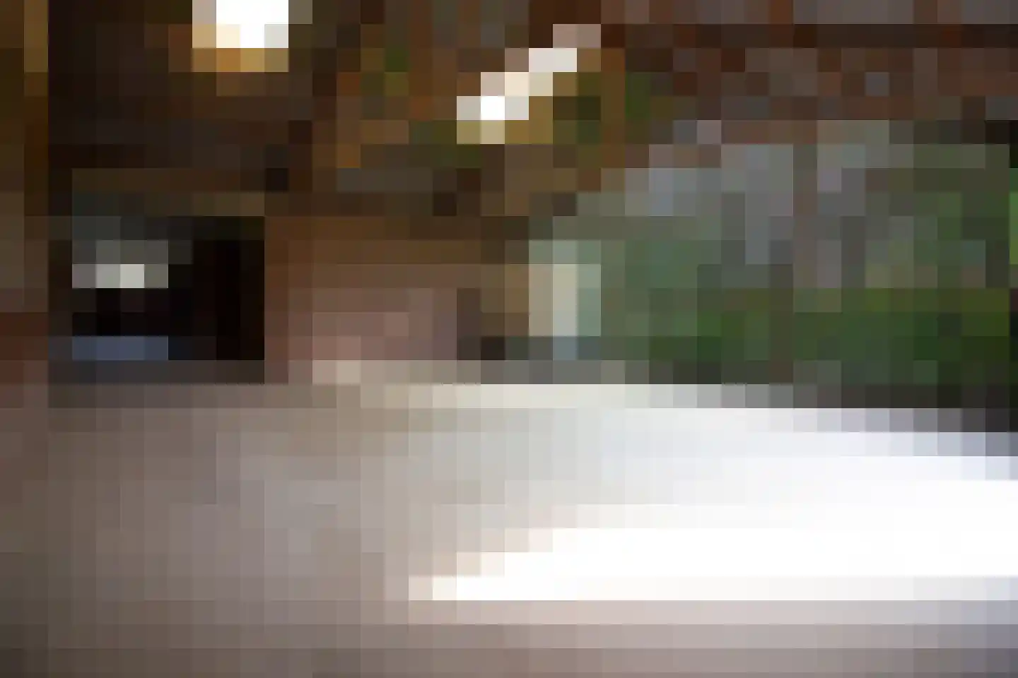 Elbaweg 55 Hem thumbnail 84