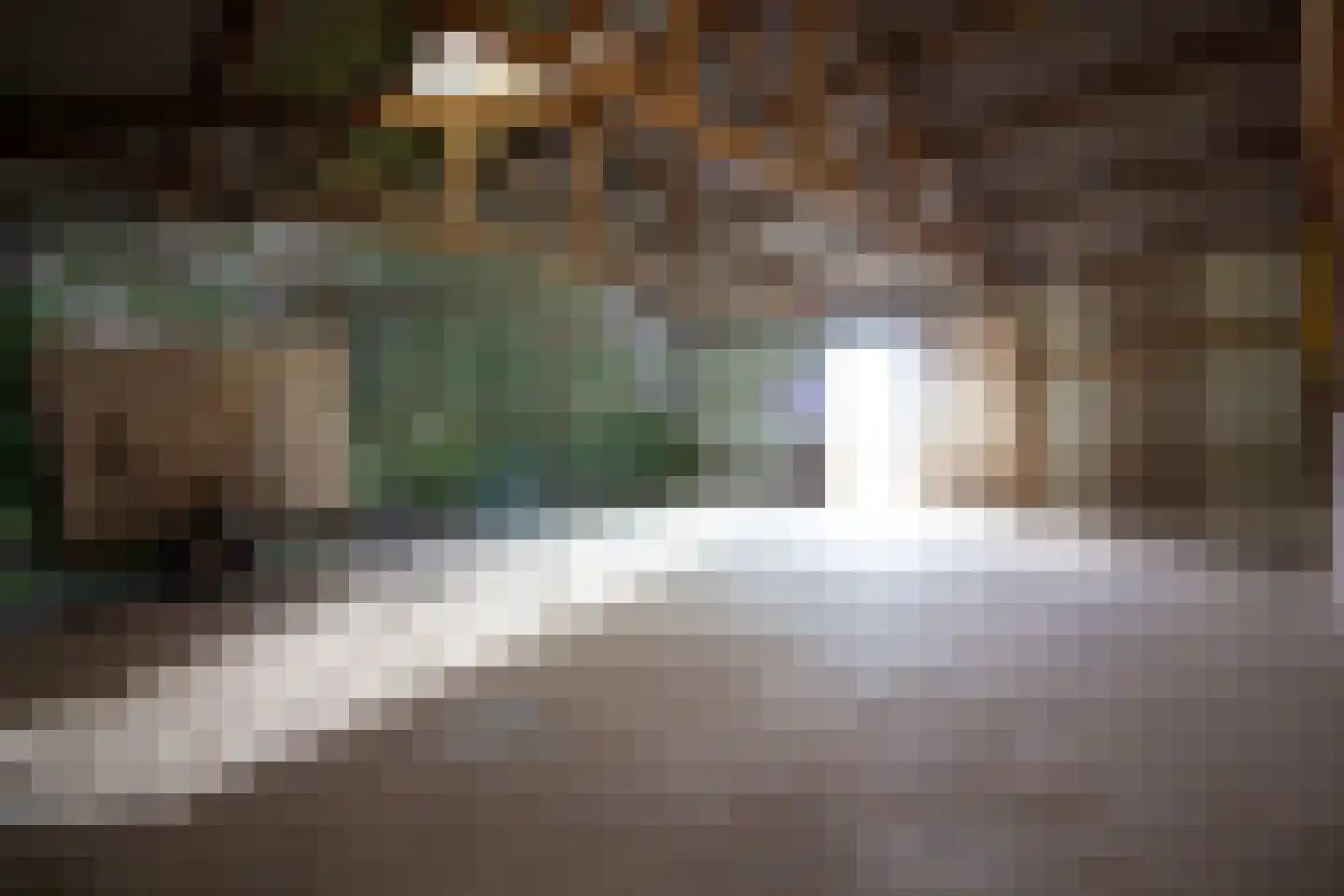 Elbaweg 55 Hem thumbnail 86