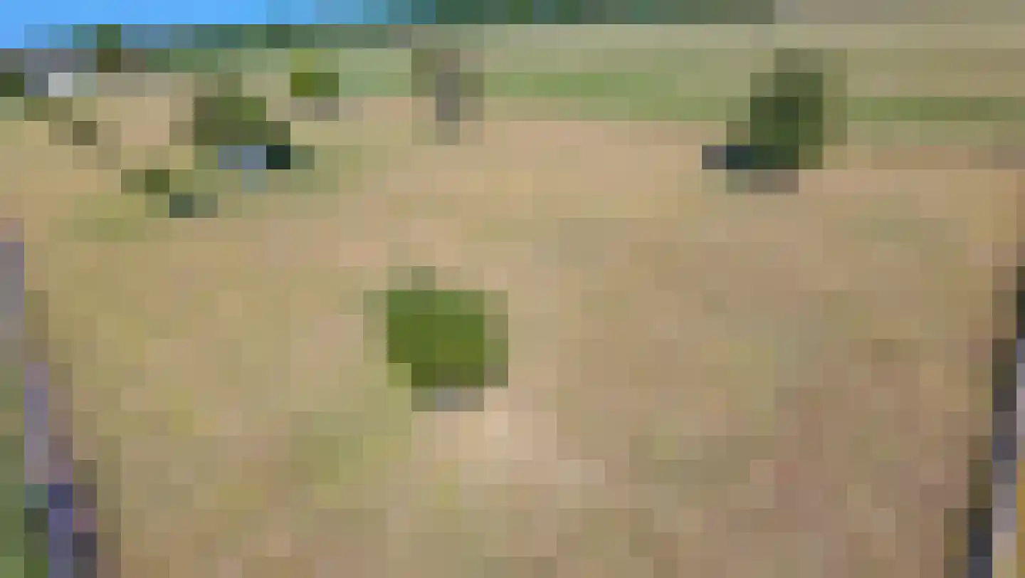 Elbaweg 55 Hem thumbnail 88