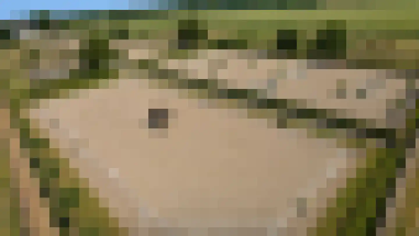 Elbaweg 55 Hem thumbnail 89