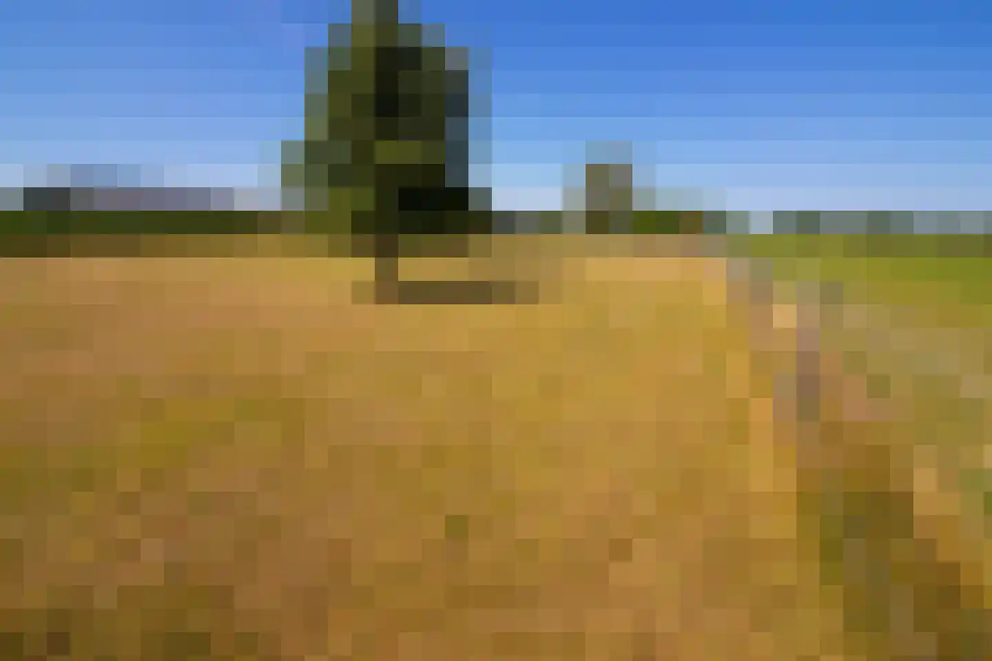 Elbaweg 55 Hem thumbnail 91