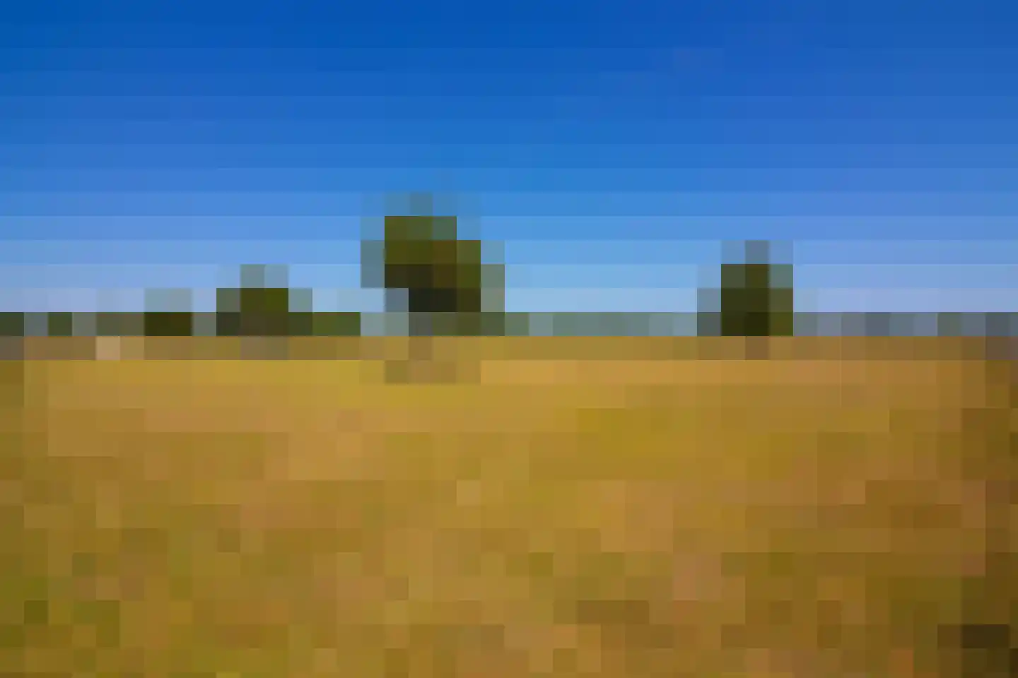 Elbaweg 55 Hem thumbnail 92