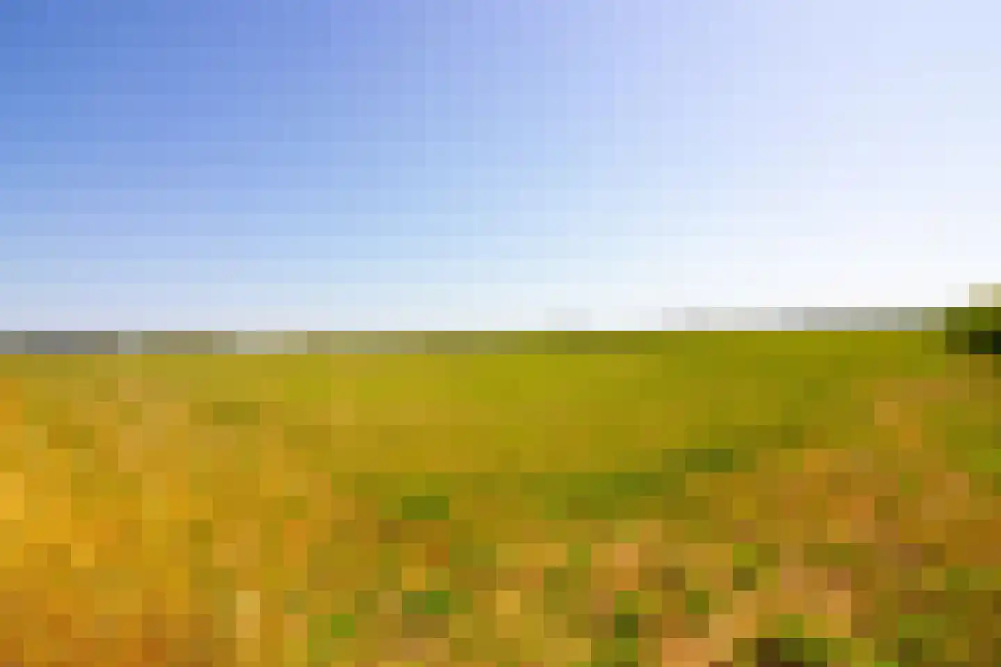 Elbaweg 55 Hem thumbnail 93