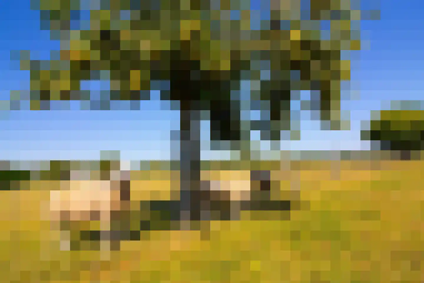 Elbaweg 55 Hem thumbnail 94