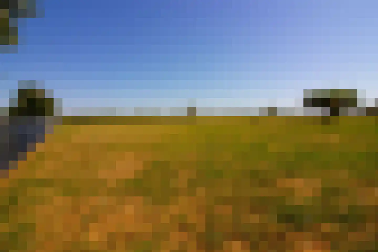 Elbaweg 55 Hem thumbnail 95
