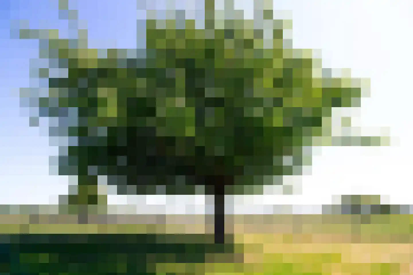 Elbaweg 55 Hem thumbnail 96