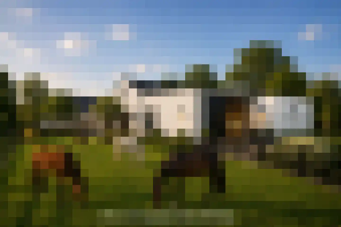 Elbaweg 55 Hem thumbnail 99