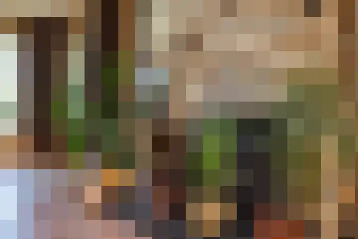 Elbaweg 8 Hem thumbnail 10