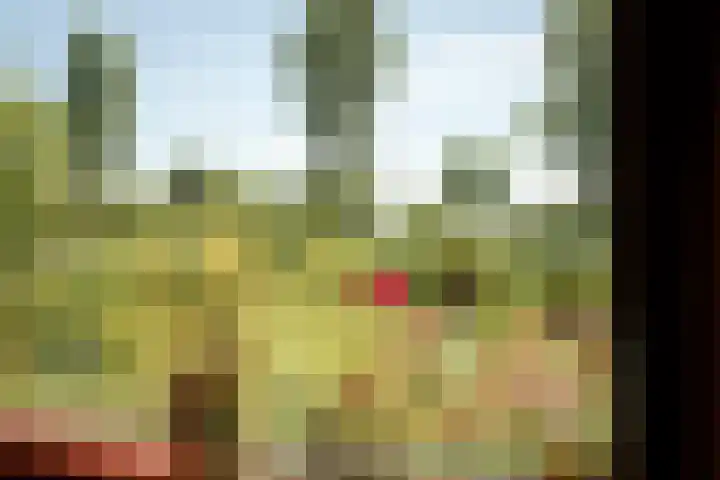 Elbaweg 8 Hem thumbnail 12